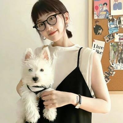 警察故事之警察日记