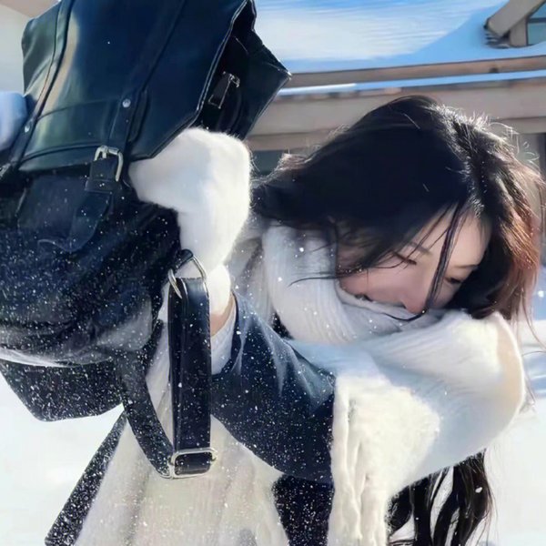 美女与盗贼