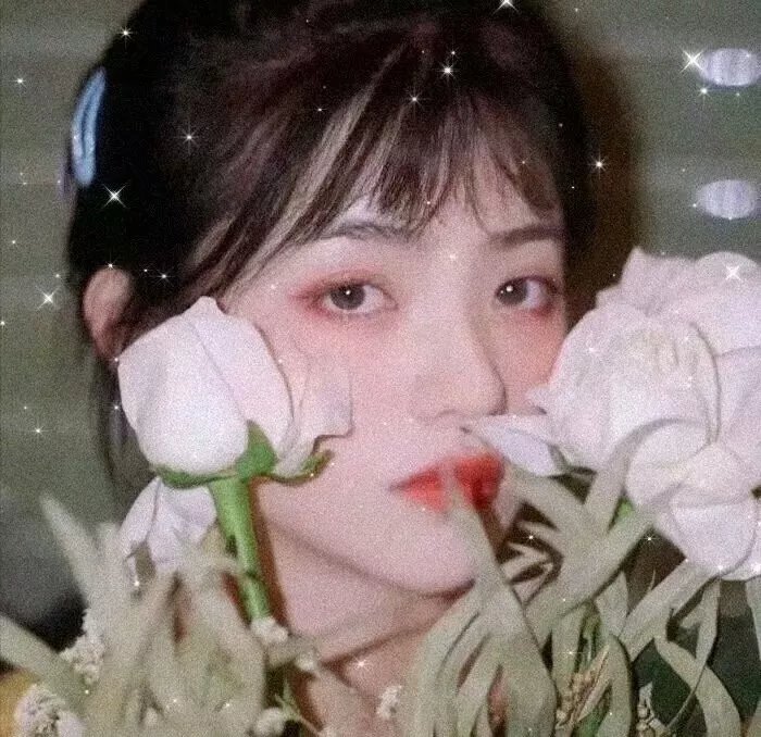 毛毛喋血记