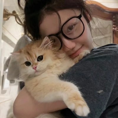 野猫
